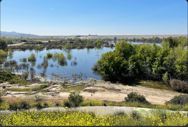 Sunland neighborhood view